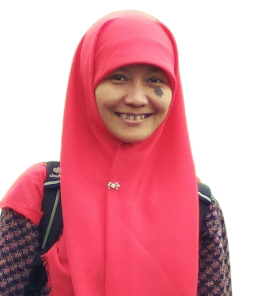 Siti-zulva